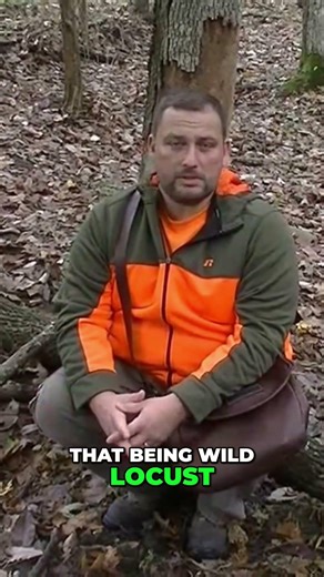 Survivalist John the Baptist: God's Provisions #shorts