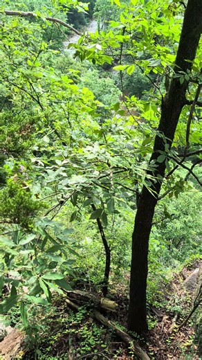 High Rocks Park 005