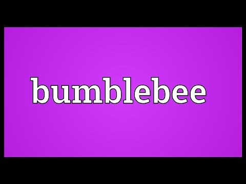 Bumblebee Meaning