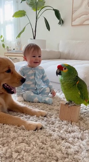 5.2K views · 161 reactions | say hello... | I Love Jesus | Facebook