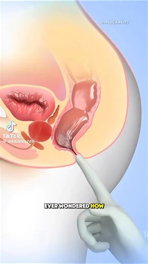 Momentum Healthcare on Instagram: "Heard of a digital rectal exam? Will you be willing to take one for the sake of your prostate? #Momentumhealth #health #healthy #healthylifestyle #healthfood"