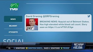 6.2K views · 199 reactions | Breaking news: Nyquist will NOT run in the 2016 Belmont Stakes. Our experts discussed the situation Tuesday morning; check out the full update below. Bet on horse racing legally at www.tvg.com! | FanDuel Racing | Facebook