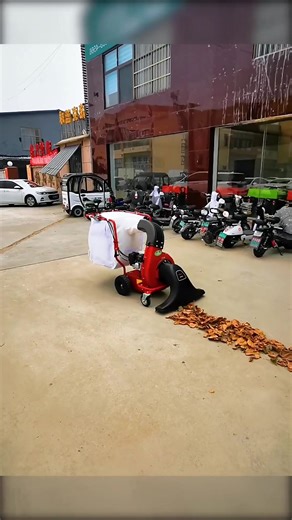 Top Leaf Vacuum Machines for Efficient Yard Cleanup