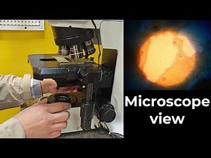 Properly use Upright microscope