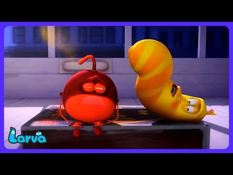 Larva - Attention ! Il va exploser 💣 | Dessins Animés | WildBrain Maison Hantée