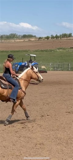 Barrel Horse Training Tips for Futurity Success