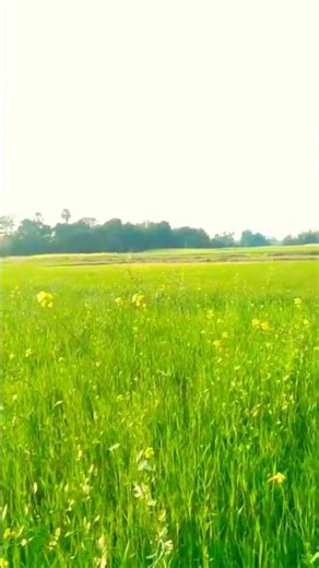 Tune Mujhe Yaad Kiya Hai🔥