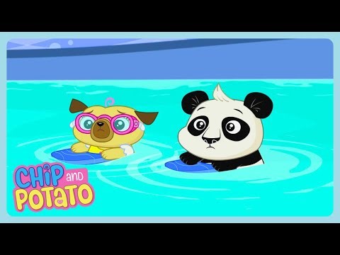 Chip and Potato - La lección de natación de Chip | Dibujos animados | WildBrain Para Pequeninos
