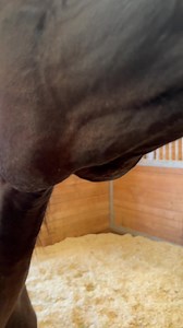 110K views · 9K reactions | Update on beautiful Eden 勺 So this girl...