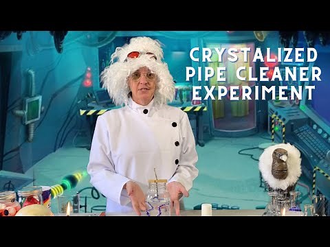 Experiment | Crystal Pipe Cleaners