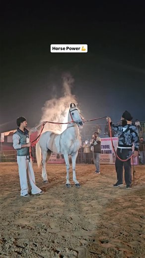 Beant Tulewal on Instagram: "Horse Power 💪"