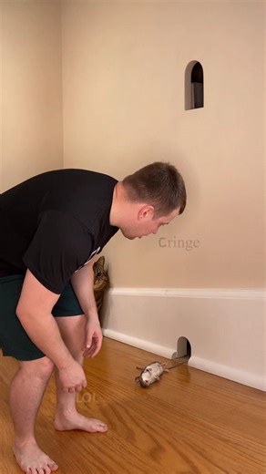 The situation in which a mouse died and then a person 🐭❓