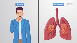 Video: Statistical Methods for Analyzing Epidemiological Data