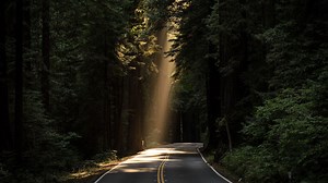 20 Crown Chakra Affirmations for Divine Connection