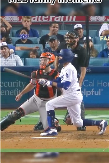 MLB funniest moments in baseball#mlb #baseball #sports #tiktok #fyp