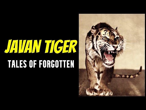 Javan Tiger - Tales Of Forgotten