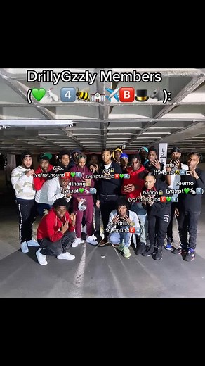 #nyc #rip #bronxdrill #edit #fyp #foryou #foryoupage #xyzbca #viral #violence #gang #drill #bronx #bronxdrill #nyc #members #drillygzzly