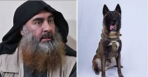 The Dog That Helped Kill ISIS Leader al-Baghdadi Has Been Declassified