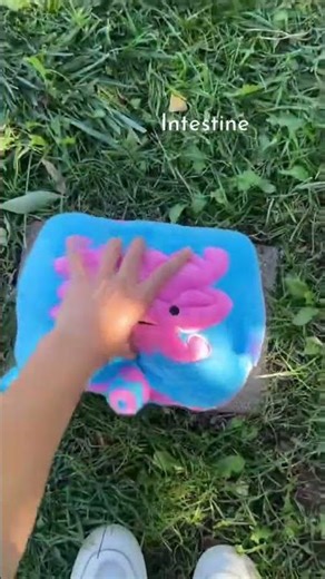 Gutsy Easter Candy 🍭 🐣