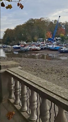 Drain off at Twickenham riverside