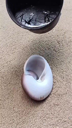 Casting Aluminum from Snail Shells at Home