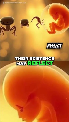 Evolution: Embryo Stages Explained - Common Descent Myth? #shorts