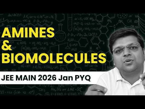 PYQs Amines and Biomolecules |JEE MAIN January 2026 | DexterChem