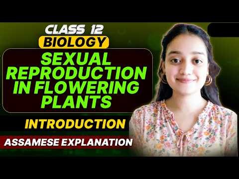 Class 12 Biology in Assamese | Sexual Reproduction in Flowering Plants | Let's Approach| Part 01