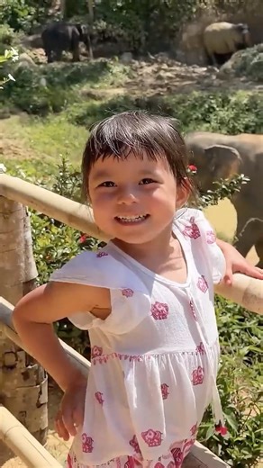 Twin Twin Learn Fun Facts About Elephants 🐘