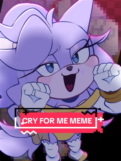 Sonic Boom Transformation: Amelia the Cat's Journey