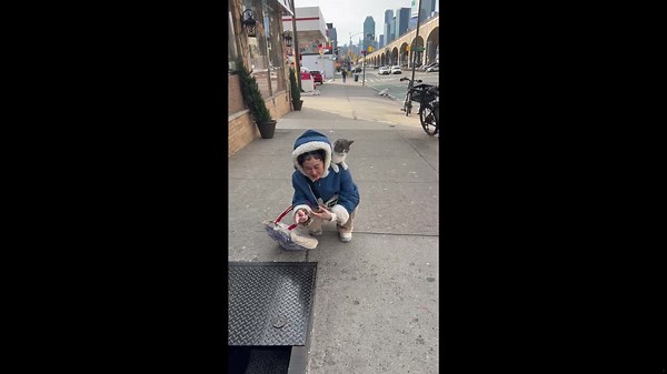 Basement cat’s sneaky surprise