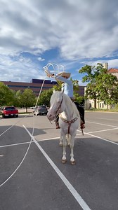 152K views · 5K reactions | Un dia de presentación. ✌️#vlog #denvercolorado #floreo #charro #banda #charreria #cowboy #horses #equino #aventura #escaramuza #festival #tequila #mezcal #festivaldeltequilayelmezcal | Adrian Bugarin | Facebook