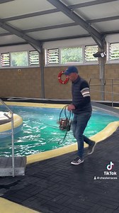 A morning at Manor House Stables🐎 Today we hosted some of our 1539 Roof Members at Manor House Stables, where they got to go behind the scenes at our leading trainer’s yard, Hugo Palmer, along with a guided tour thanks to Michael Owen, followed by refreshments from our very own Horseradish Catering team in the Owners Lounge. A huge thank you to Michael Owen and Hugo Palmer for taking the time to show our members around. This is one of the many benefits of an annual 1539 Roof Membership, for mor