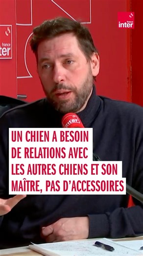 Comment rendre son chien heureux ? "C'est une espèce sociale, donc qui a besoin d'interaction" rappelle Hélène Gateau, vétérinaire et autrice de "Dormir seul, à deux… ou avec son chien ?" ➡️ Pour en savoir plus, écoutez "Grand bien vous fasse !" d'Ali Rebeihi sur France Inter https://l.franceinter.fr/Ujy | France Inter