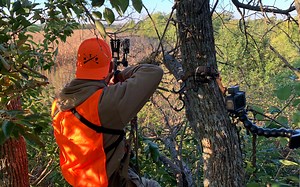 Tips from The Hunting Public: How to Locate Big Whitetail Bucks on Public Land in Kansas