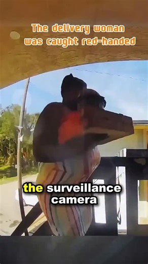 420K views · 177 reactions | She was caught red-handed moments later. #doorbell #theft #delivery #japd | JAPD media | Facebook