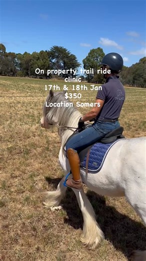 🌿 SAS EQUESTRIAN – TRAIL RIDE CLINIC 🌿 SAS Equestrian is excited to host an on-property Trail Ride Clinic, designed to help riders and horses develop the skills, confidence and knowledge needed for safe, enjoyable trail riding. This clinic is a wonderful opportunity to: 🐴 Build confidence for both horse and rider 🌱 Safely experience new environments and obstacles ✨ Develop practical skills that transfer to everyday riding All disciplines and experience levels welcome 💚 📍 Location: Somers �