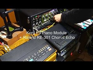 Korg P3 80's Piano Module   Roland RE-301 Chorus Echo Session