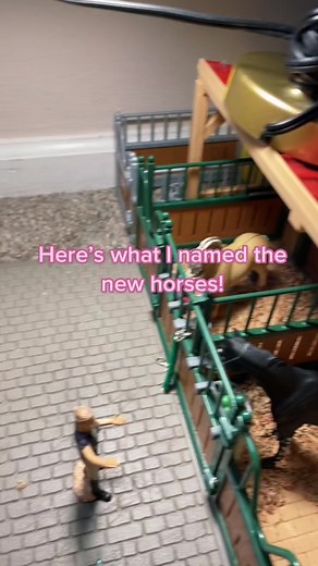 💗🐴#greenscreen #foryou #canterwoodstables #fyp #foryoupage #schleich #horses #blowup #minivlog #girls