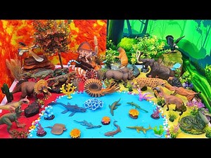 Explore Dinosaur, Forest & Ocean Animals 🦖🌳🌊 | Amazing Animal Diorama