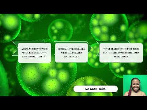 How Electrocoagulation Removes Nutrients from Water - Key Findings Explained