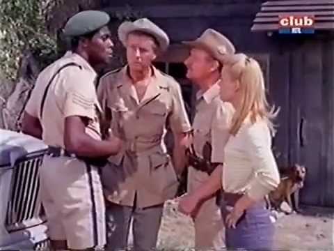 Daktari Rhodesian Ridgeback