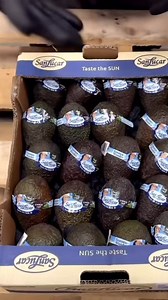 The garden shop on Reels