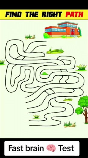 Fast Brain Test Challenge for Enhanced Cognitive Skills