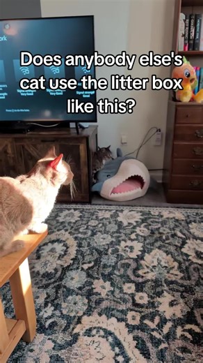 is something wrong with him?