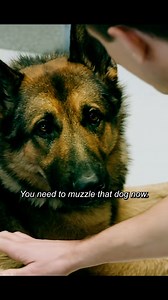 Watch all movies for free link in my description! . . . #viral #viralreels #movie #trailertrends #moviescene #movieclips #movietrailers | Trailer_trends