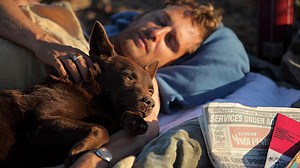 Przygody Rudego (2011)