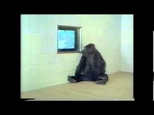 1990 asahishinbun cm