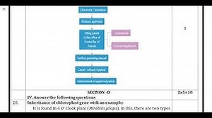 12th Bio-Botany Quarterly Exam Answer Keys 2019-20 Namakkal District English Medium