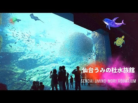 ``Sendai Umino-Mori Aquarium'' Recreating the Rich Sea of Sanriku, Sendai City, Miyagi Prefecture